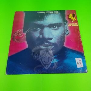 Disco vinilo Snap Colour of Love