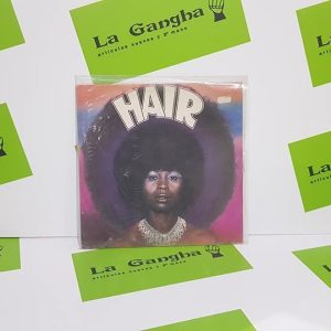 Disco Vinilo Hair