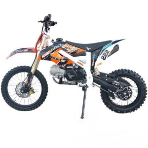 Pit Bike XL KXD Pro GT-K125 222