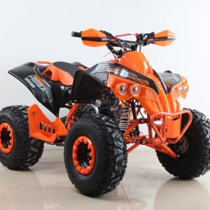 Quad Pit Speed Mega Warrior 125cc
