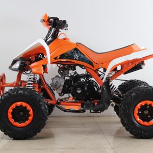 Quad Panther 125cc con marcha atrás