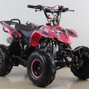 Quad infantil Pit Speed Polar 125cc con marcha atrás.