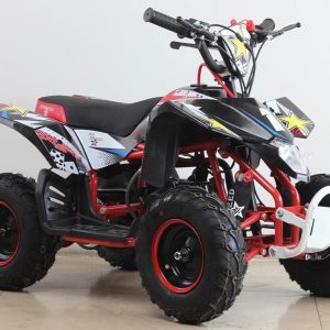 Miniquad Pit Speed Renegade RockStar 49cc.