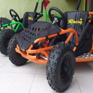 Mini Buggy Infantil Go-Kart 80cc.