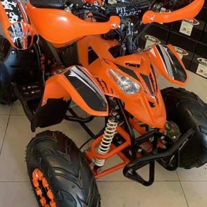 Quad Polar Predator 125cc. con marcha atrás