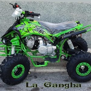 Quad Panther Speedy Racing Motors 125cc 4 tiempos con marcha atrás. Automático