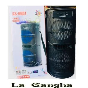 Altavoz Portátil AS-6601. Funcionalidades USB - Bluetooth - Radio - Tarjeta SD. Potencia 2x10W. Producto Nuevo