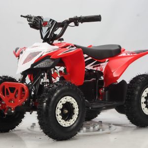 Miniquad Eléctrico Raptor 800W. Llantas 6 pulgadas. Para niñ@s de 3 a 7 años. Producto Nuevo