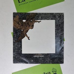 Disco Vinilo The Orchids Unholy Soul. Producto Segunda Mano